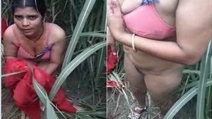 Desi Randi Bhabhi Shows Pussy