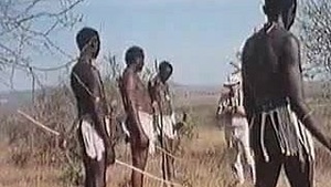 African huge penises! A real safari!