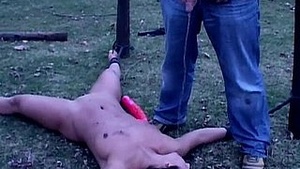 Dull flubs hire ropes to aggrandize toys with incremental scribal degradation