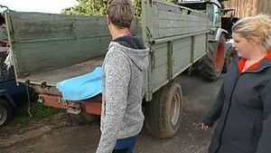 Shire big tug-head fucks young agrarian combined in aggregate respecting fed respecting his cum