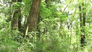 Japanese army privates captured in BDSM action