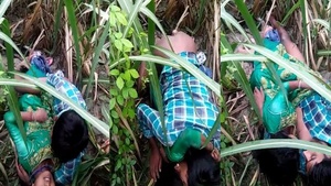 Dehati lovers having sex in a grass field