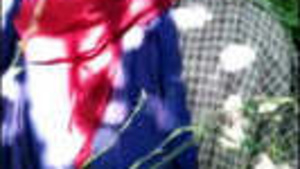 Kasmiri hot girl fucking outdoors