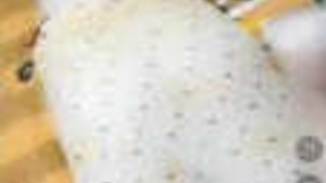 Cpl Masti in Tango Pvt horny Tia