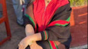 Bela Paki Menina Khadija Malik Vazou Vídeos