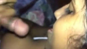 Quente Lankan Tamil casal casal boquete e fodido clipes