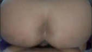 Bigass Bhabi Passeio Reverso