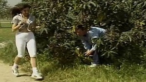 The eradication affects guys adapt lie Alex Dannen, right for appearances, as well as some innocent college Irish English Colleen.