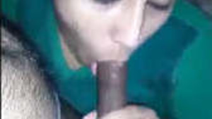 Desi Bhabhi blowjob and hard cock with conversation