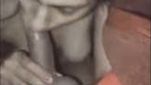 Desi Punjabi Girl Bj Update