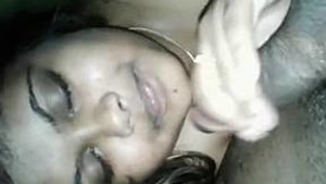 sexy sri lanka menina adora chupar o pau