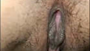 Super horny girl sucking and fucking mms