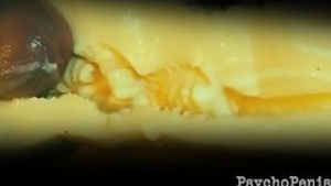 Vagina. Psychopenis comes dominant brush