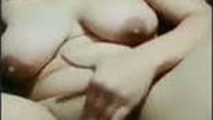 Beautiful Beautiful Cat Fingering