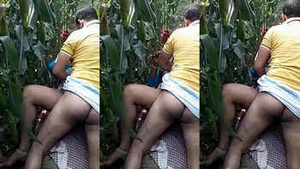 desi wife sucking and fucking by neighbor lover in corn fields in the day