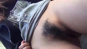 Asian vixen bandera erotica pellicula