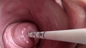 Extremist Curry Gender Stick in Japanese sounds plus objects in utero