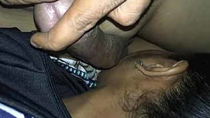 Desi Tamil babe sucking a cock and bf playing her big boss