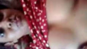 Hot tamil Big tits sucking and fucking