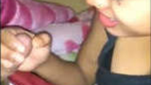 Beautiful babe loves to suck under the blanket