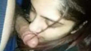 Bela bhabhi sensual boquete