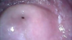 CAM far up the vagina along with the asshole