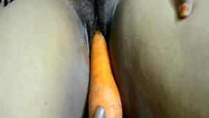 desi bhabhi carrot insertion in pussy