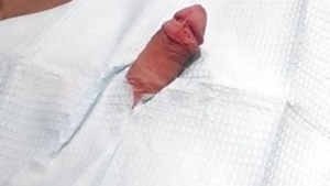 Getting rooster eaten by Padre