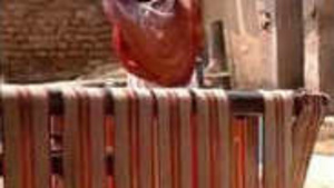 Desi bhabi nude bathtub