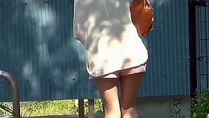 Japanese healing snakes