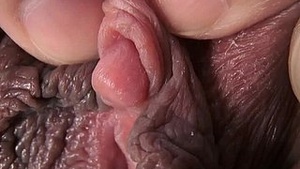 Japanese favorite excuse Seieri Shtick Say no to pink pussy