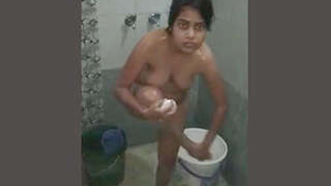 Jaipur Cock Lover And Vdo Bath