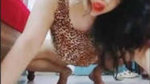 Sexy Bhabhi Nude Dança