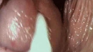 Compilation of historical events in chronological order.