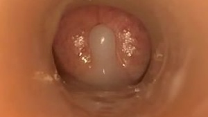 Special sex scene with cum inside the vagina - javdiscovery.com