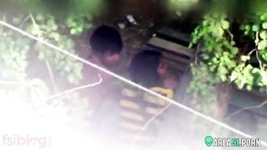 Hot scene of unfired desire: Outdoor sex in an Indian park