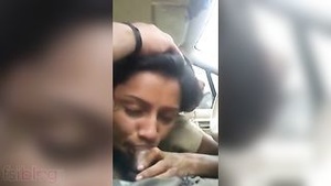 Marital affair with a exotic Indian beauty in a hot car scene.