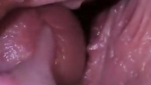 Cum inside: The Science of Sexual Intercourse