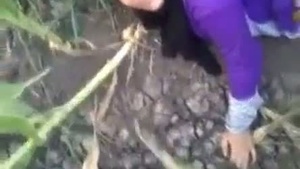 A libertine video of a beautiful Bhabhi having outdoor sex with her lovers.