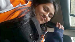 Beautiful Indian girl having sex in a car