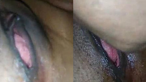 Desi wife shaved and juicy vagina licked by her husband