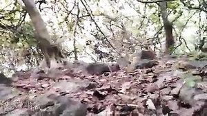 Outdoor Indian sex adventure with pee and pussy play