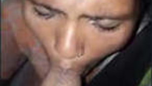 Hometown beauty enjoys cock sucking scenes