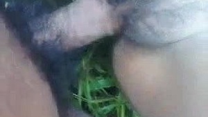 The last video of a teenager who has outdoor sex.