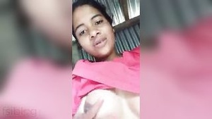 Boob show and hairy pussy in a Bengali movie