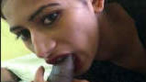 A beautiful Indian program girl gives a great blow job.