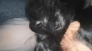 A sex hungry Indian woman gives oral sex to her man