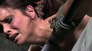 Going out in a rather passive and accepting manner, he becomes conscious of the difference in his desires and gets tied up.