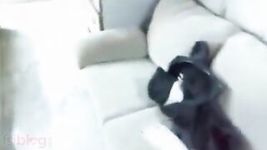 Desi housewife’s hot brunette gets a trim and gives the best blowjob.