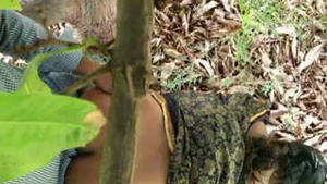 A busty bhabhi having a hard cock fucking outdoors in doggy style.